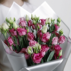 9 розовых эустом в упаковке