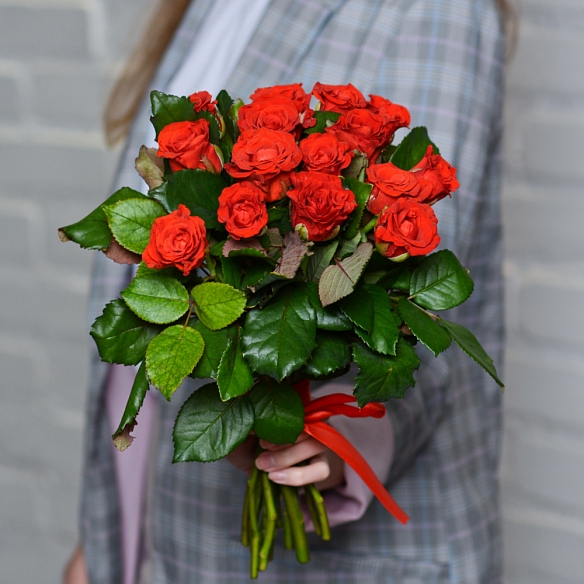 15 красных роз 35-40см (Россия)
