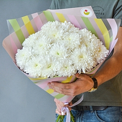 15 белых одноголовых хризантем в упаковке