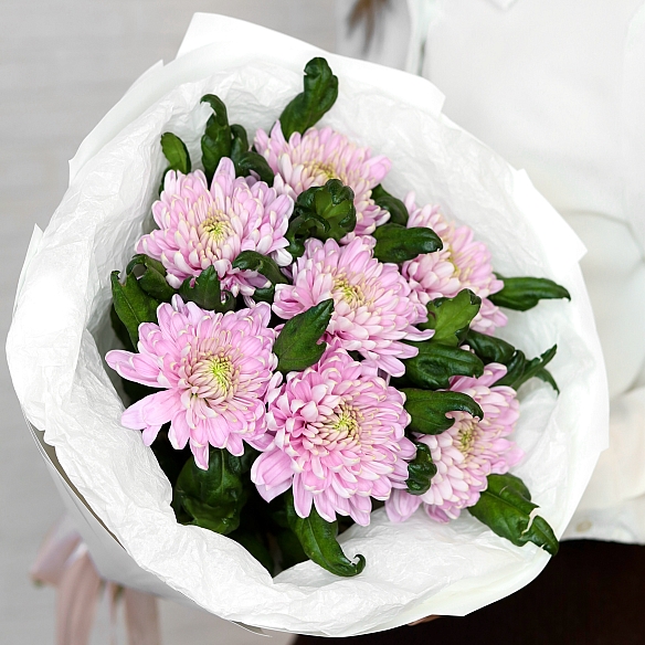 7 розовых одноголовых хризантем в упаковке