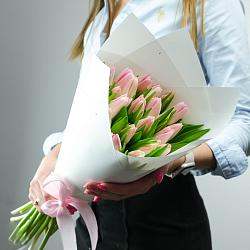 25 розовых тюльпанов в упаковке