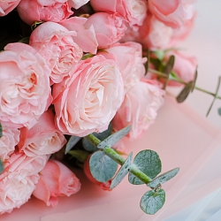 15 кустовых роз Мадам Бомбастик с эвкалиптом (Голландия)