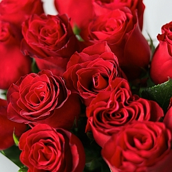 15 красных роз 70см в упаковке (Кения)