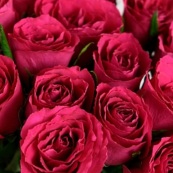 15 малиновых роз 35-40см (Кения)