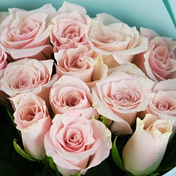 15 бело-розовых роз 35-40см в упаковке (Кения)