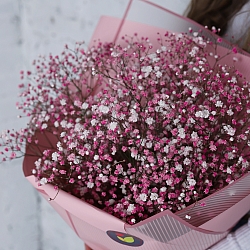 7 розовых гипсофил в упаковке