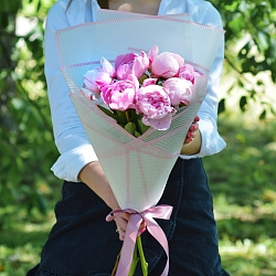 7 розовых пионов Сара Бернар (Голландия)