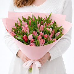 51 розовый тюльпан в упаковке