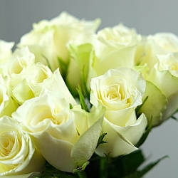 15 белых роз 35-40см (Кения)
