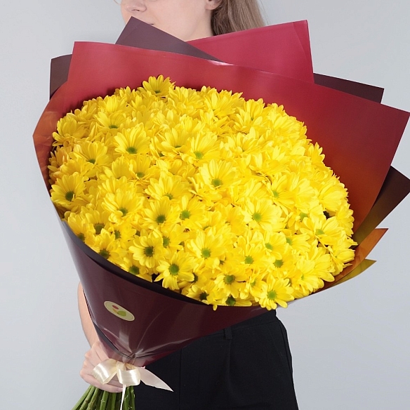 25 желтых кустовых хризантем в упаковке