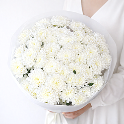 9 белых кустовых хризантем в упаковке