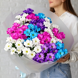 15 кустовых хризантем микс в упаковке
