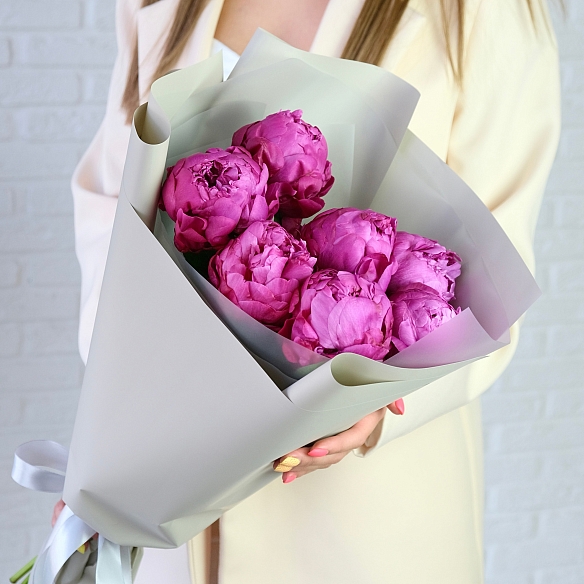 7 малиновых пионов в упаковке (Голландия)