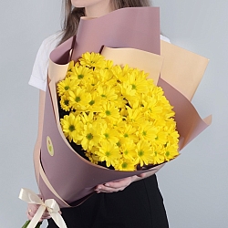 9 желтых кустовых хризантем в упаковке