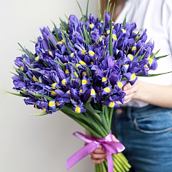 51 ирис под ленту