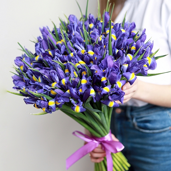 51 ирис под ленту