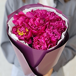 9 бордовых пионов в упаковке (Россия)