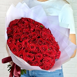 75 красных роз 35-40см в упаковке (Россия)