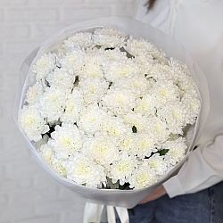 9 белых кустовых хризантем в упаковке