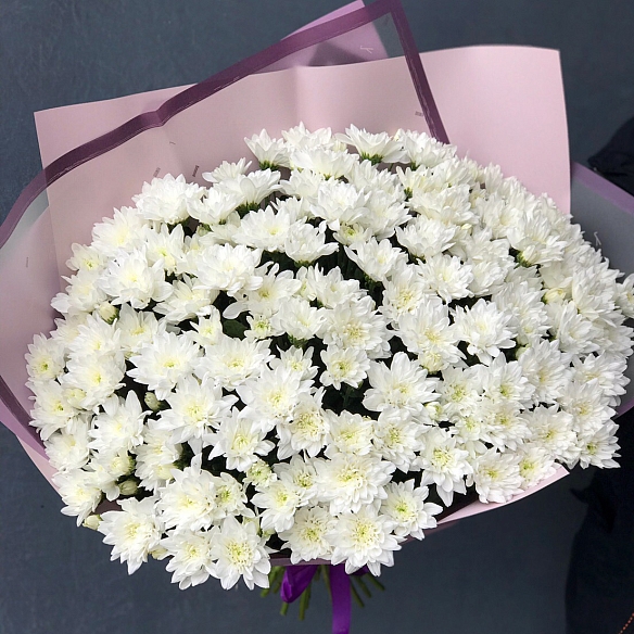25 белых кустовых хризантем в упаковке