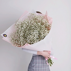 15 белых гипсофил в упаковке