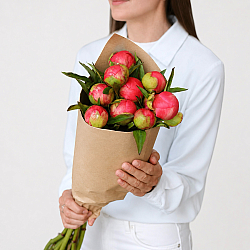 Охапка коралловых пионов (Голландия)