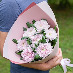 7 розовых одноголовых хризантем в упаковке