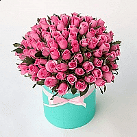 101 нежно розовая роза 40 см в шляпной коробке