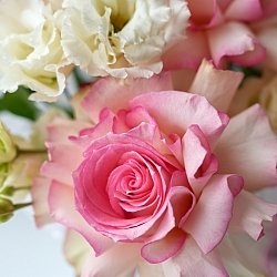 Композиция «Ренессанс»