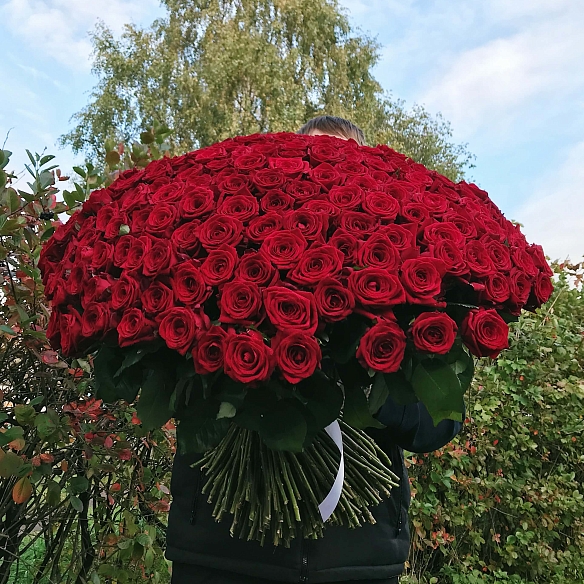 Букет из 301 розы 60 см