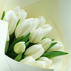 15 белых тюльпанов в упаковке