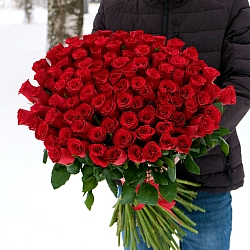 101 красная роза 70см (Кения)