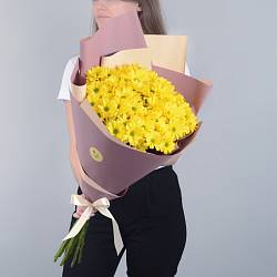 9 желтых кустовых хризантем в упаковке