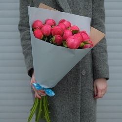 15 коралловых пионов в упаковке (Голландия)