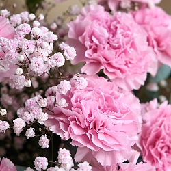 Букет «Розовые грезы»