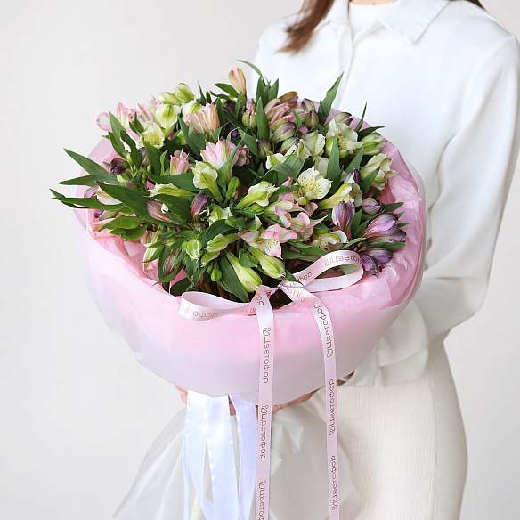 21 альстромерия микс в упаковке