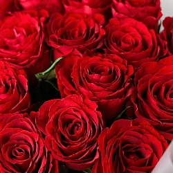 11 красных роз 70см в упаковке (Кения)