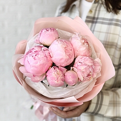 7 нежно-розовых пионов в упаковке (Голландия)