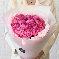 15 малиновых пионов в упаковке (Россия)