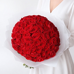 75 красных роз 40см в упаковке (Россия)