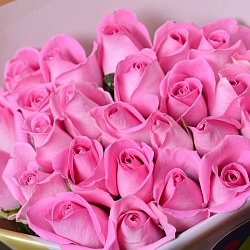 25 розовых роз 35-40см в упаковке (Кения)