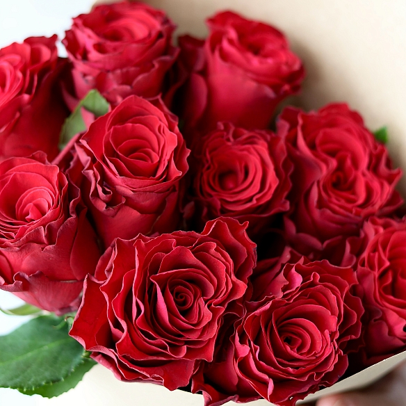Охапка красных роз 70см в упаковке (Кения)