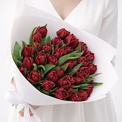 35 красных пионовидных тюльпанов в упаковке (Россия)