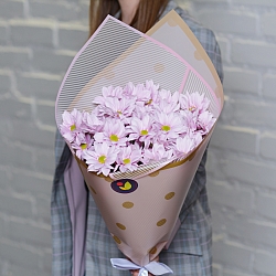 5 розовых кустовых хризантем в упаковке