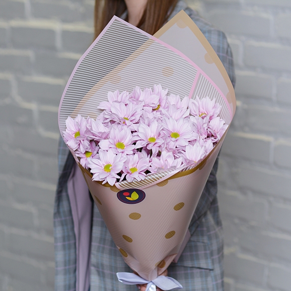 5 розовых кустовых хризантем в упаковке