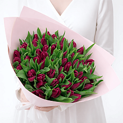 51 темно-розовый тюльпан в упаковке