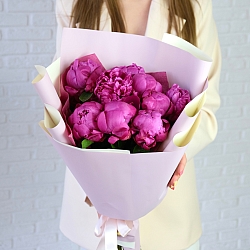 9 малиновых пионов в упаковке (Голландия)