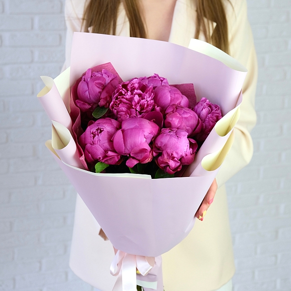 9 малиновых пионов в упаковке (Голландия)