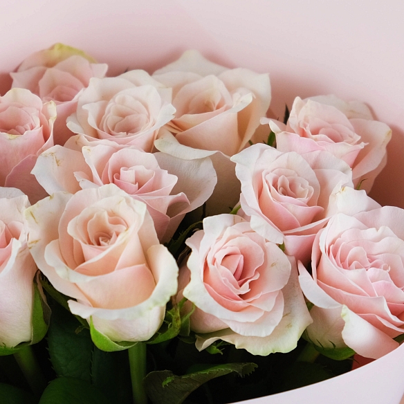 11 бело-розовых роз 35-40см в упаковке (Кения)