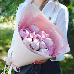 11 розовых пионов Сара Бернар (Голландия)
